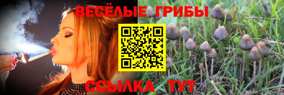 Алатырь  Псилоцибиновые грибы Magic Shrooms  Псилоцибиновые грибы MAGIC MUSHROOMS  Вход с VPN 